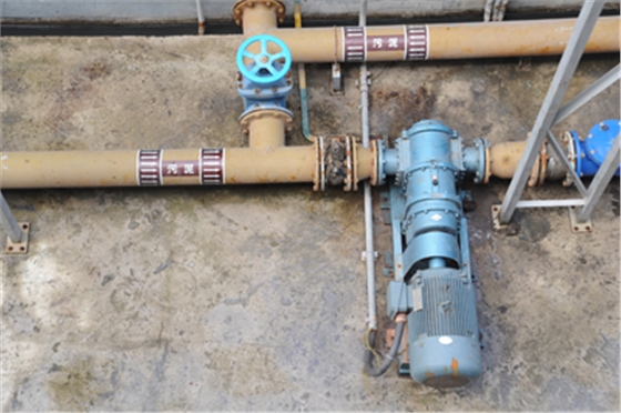 管道污泥泵 管道污泥泵