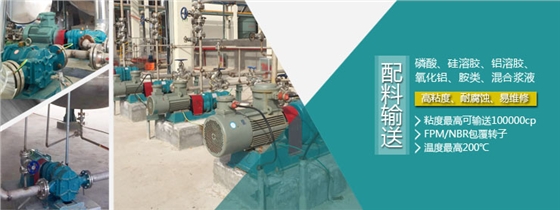 羅德轉(zhuǎn)子泵化工應(yīng)用 羅德轉(zhuǎn)子泵化工應(yīng)用