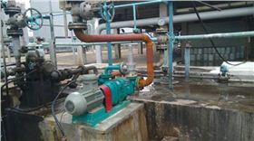 羅德污泥提升轉(zhuǎn)子泵 羅德污泥提升轉(zhuǎn)子泵