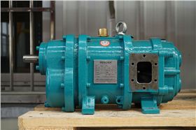 羅德品牌RDB6型凸輪轉子泵 羅德品牌RDB6型凸輪轉子泵