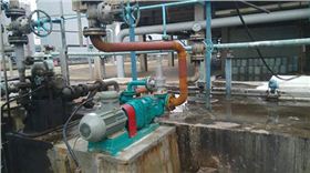 羅德凸輪轉子含油污水提升轉子泵20161207 羅德凸輪轉子含油污水提升轉子泵20161207