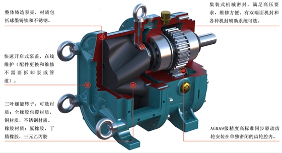 轉子泵結構 轉子泵結構