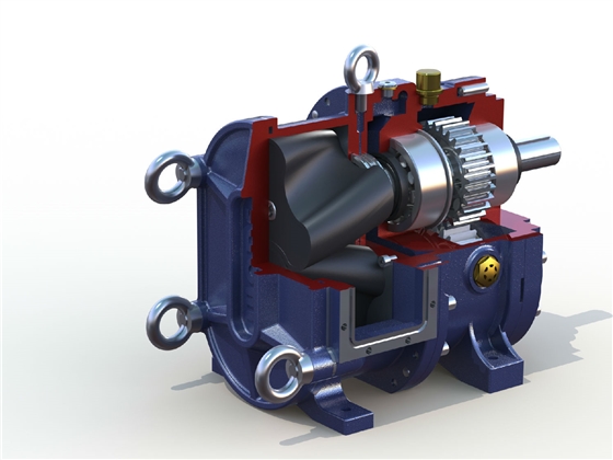 轉子泵效率影響因素