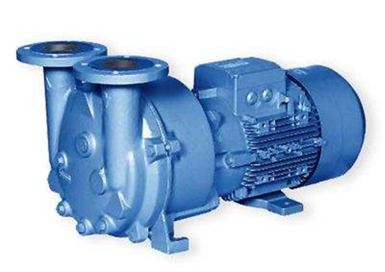 水環式真空泵 水環式真空泵