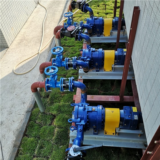 污泥自吸泵-羅德轉子泵 污泥自吸泵-羅德轉子泵