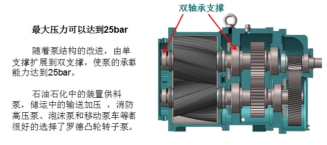 凸輪轉子泵 凸輪轉子泵