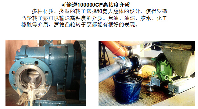 凸輪轉子泵 凸輪轉子泵