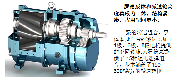 凸輪轉子泵 凸輪轉子泵