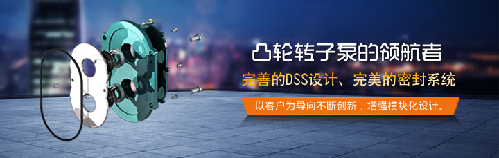 羅德品牌轉子泵