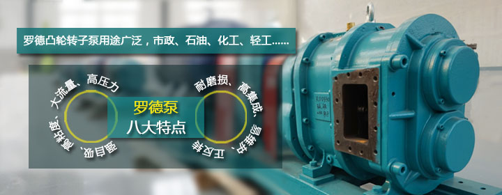 羅德品牌凸輪轉子泵特點1 羅德品牌凸輪轉子泵特點1