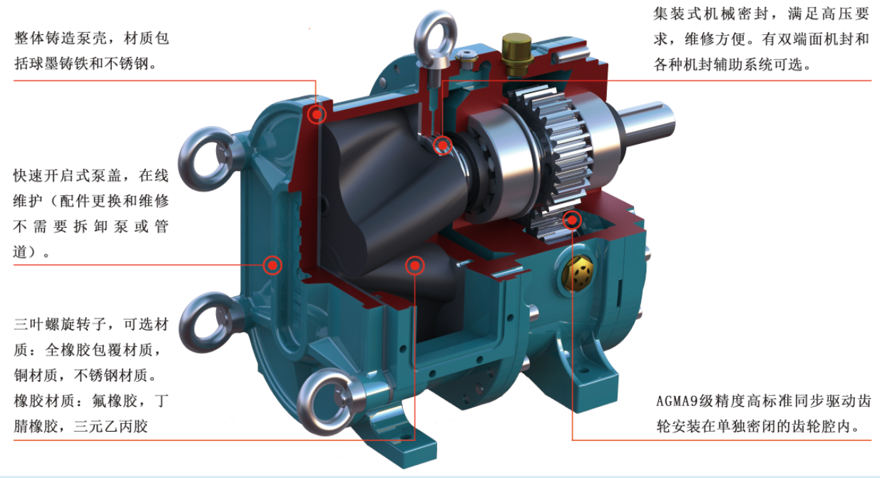 轉子泵結構 轉子泵結構