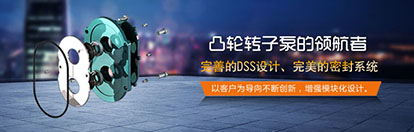 凸輪轉(zhuǎn)子泵解決渣漿泵存在的問題 凸輪轉(zhuǎn)子泵解決渣漿泵存在的問題