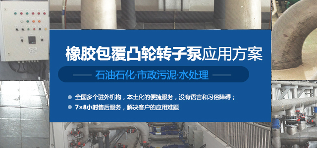專業的凸輪轉子泵應用方案提供者和服務的創新領袖